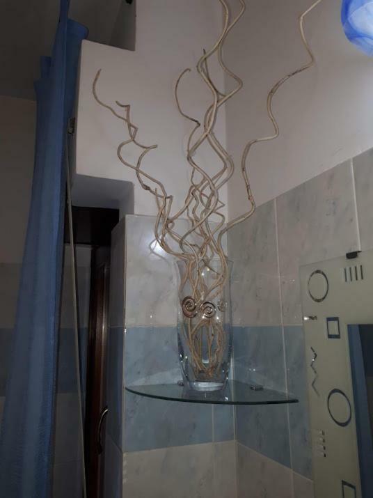 Appartement Domus Claudio à Fiumicino Extérieur photo